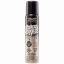 Beyond the Zone Gunmetal & Roses Temporary Hair Color Spray Gunmetal and Roses
